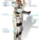 Illustration for article titled Rent Your Own HAL Exoskeleton For The Low, Low Price of $1000!